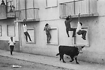 Männer mit Stier in Spanien